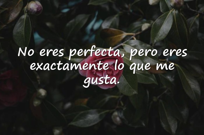Imágenes frases para enamorar - 9