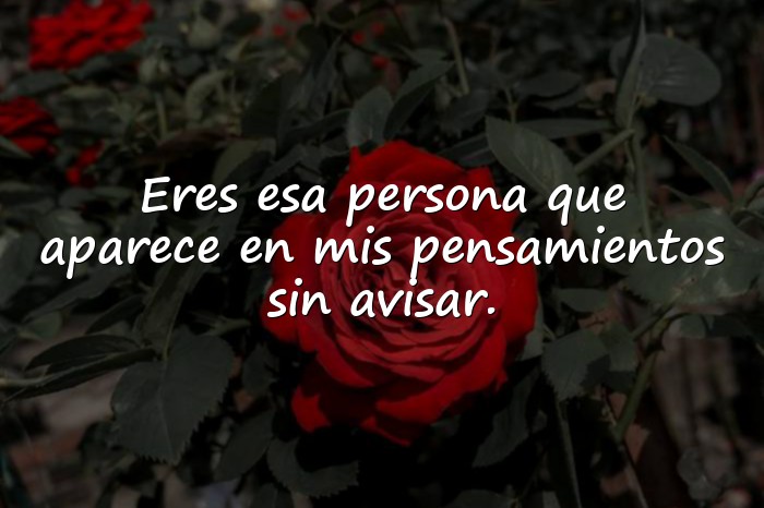 Imágenes frases para enamorar - 4