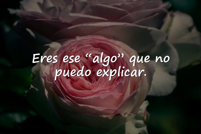 Imágenes frases para enamorar - 6