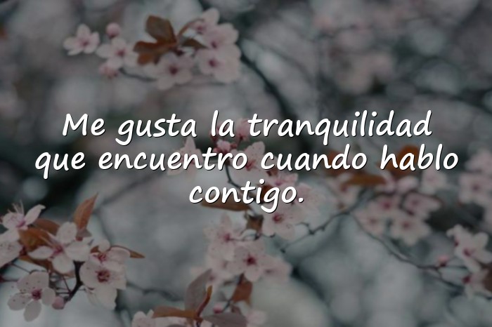 Imágenes frases para enamorar a un hombre - 11