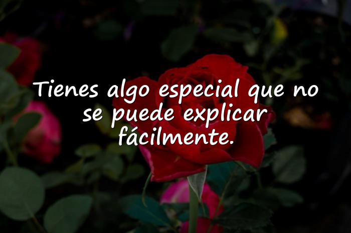 Imágenes frases para enamorar a un hombre - 1