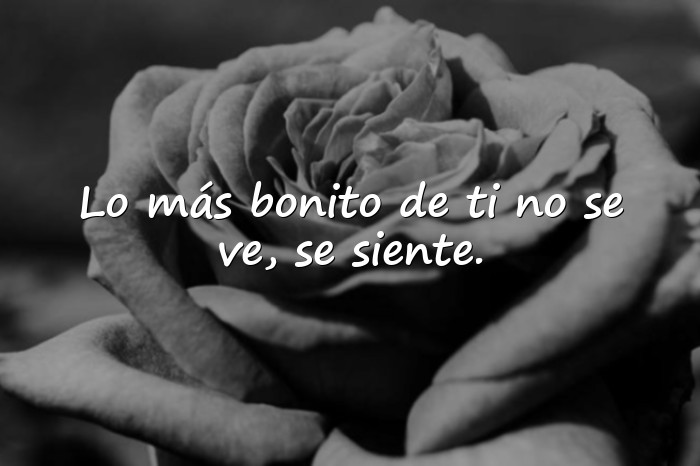 Imágenes frases para enamorar a un hombre - 21