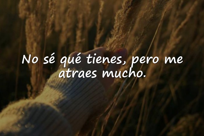 Imágenes frases para enamorar a una chica - 2