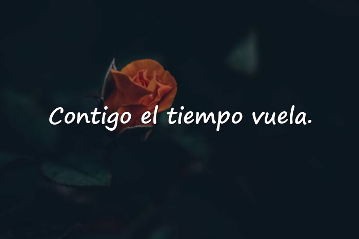 Imágenes frases para enamorar a una chica - 21