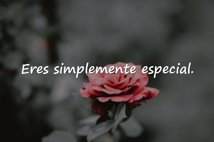 Imágenes frases para enamorar a una chica - 16
