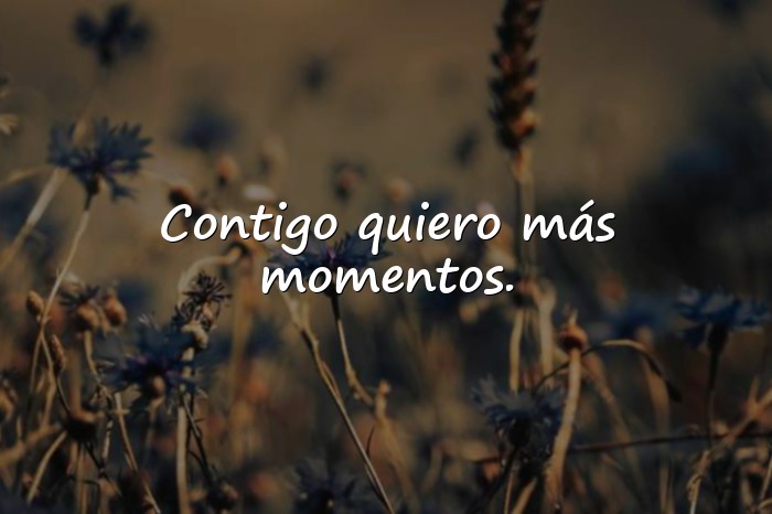 Imágenes frases para enamorar a una chica - 12