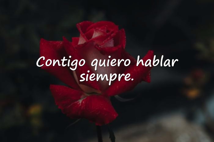 Imágenes frases para enamorar a una chica - 4