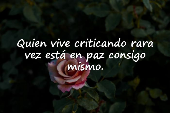 Imágenes frases para envidiosas - 16