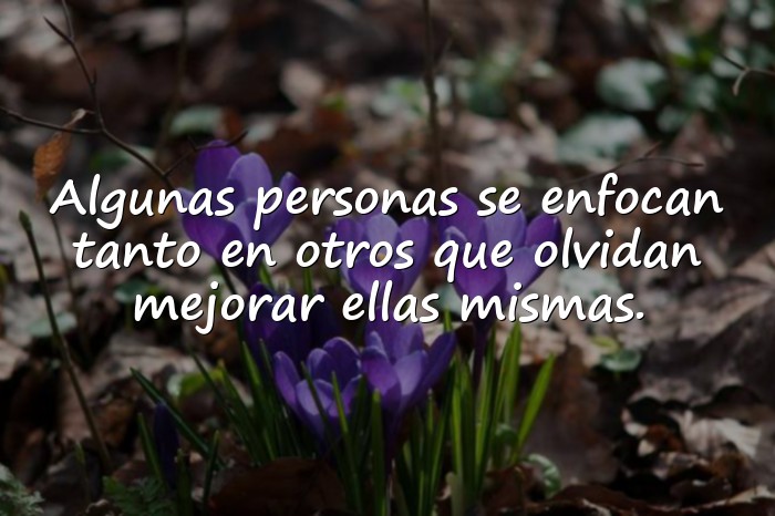 Imágenes frases para envidiosas - 1