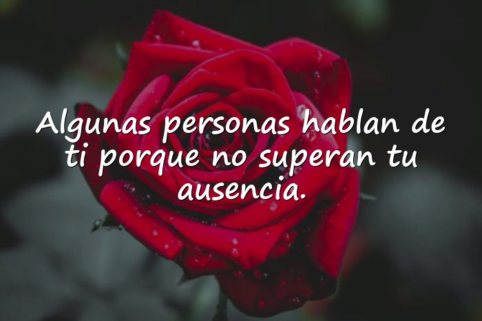 Imágenes frases para envidiosas - 16