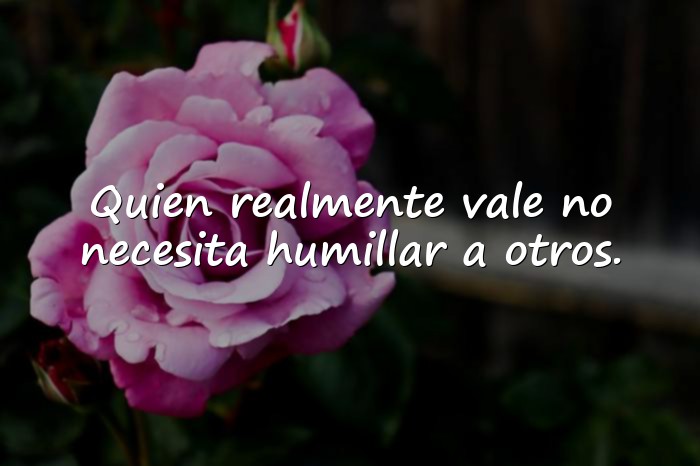 Imágenes frases para envidiosas - 11