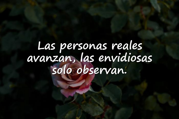 Imágenes frases para envidiosas - 1