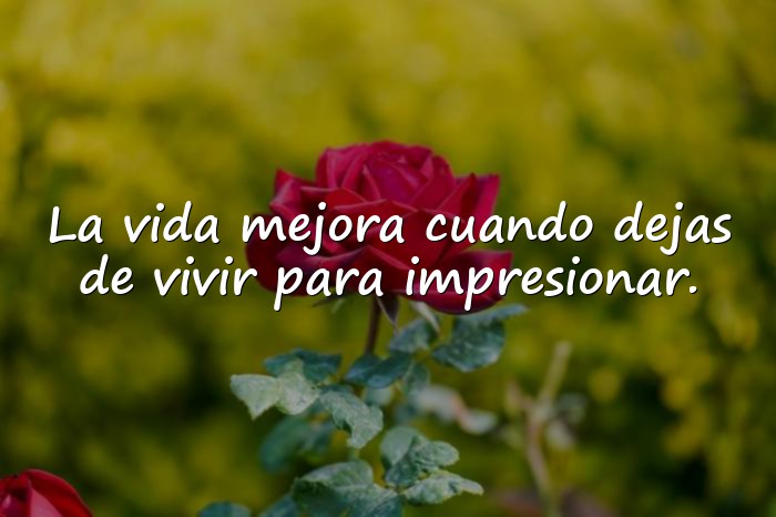 Imágenes frases para estado - 16