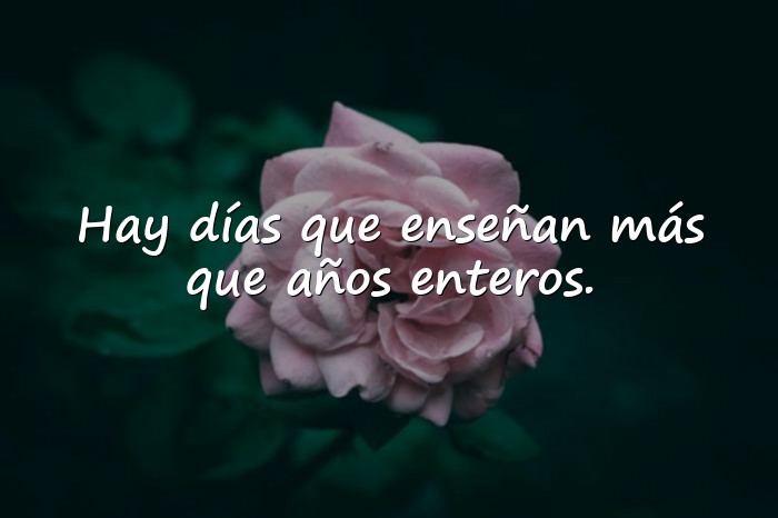 Imágenes frases para estado - 13