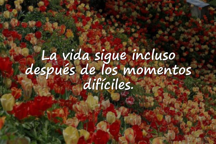 Imágenes frases para estado - 8