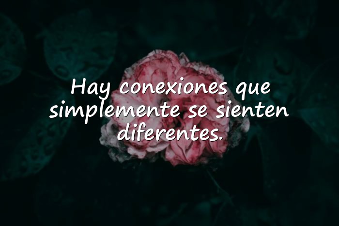 Imágenes frases para estado - 4