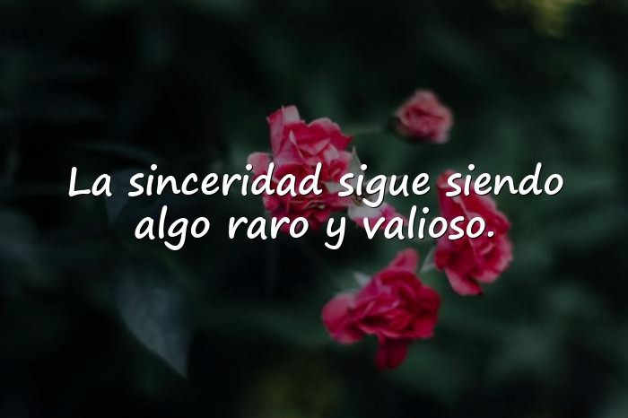 Imágenes frases para estado - 24