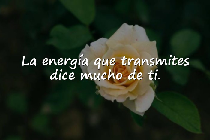 Imágenes frases para estado - 19