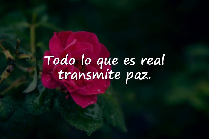 Imágenes frases para estado - 5