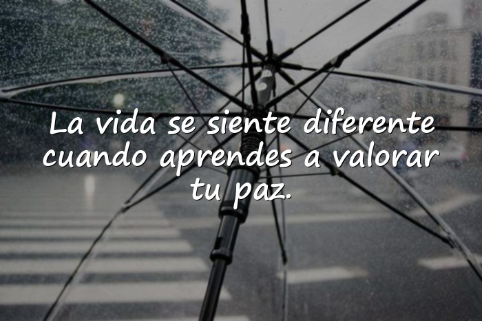 Imágenes frases para estado - 1