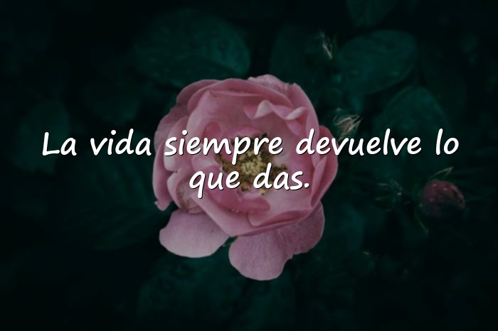 Imágenes frases para facebook - 14
