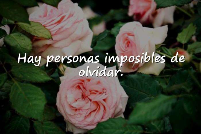 Imágenes frases para facebook - 16