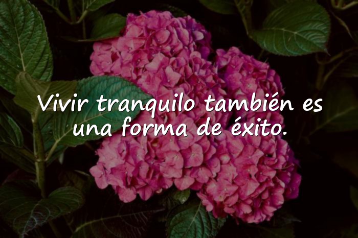 Imágenes frases para facebook - 6