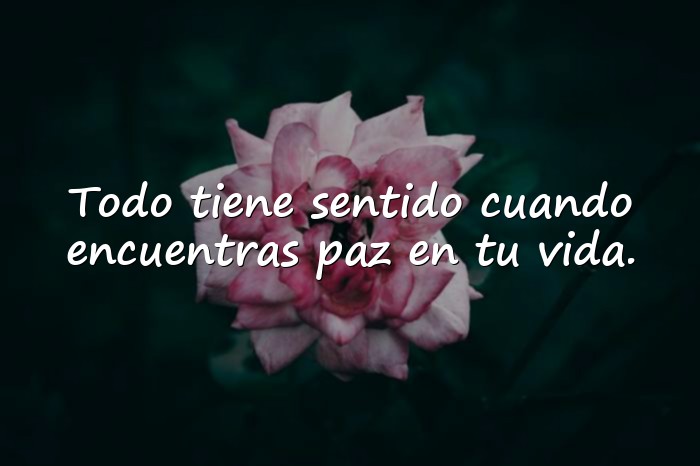 Imágenes frases para facebook - 1