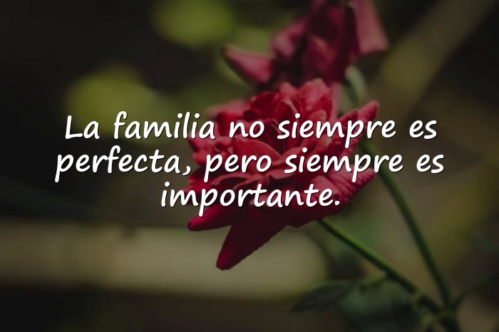 Imágenes frases para familia - 16
