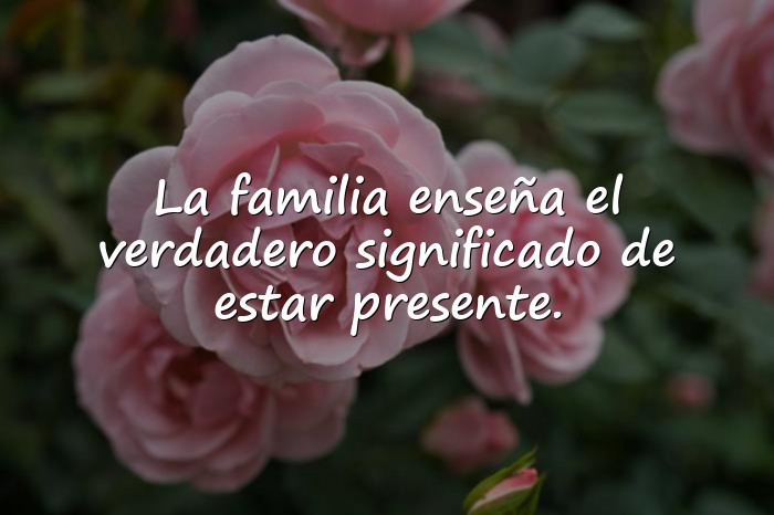 Imágenes frases para familia - 11