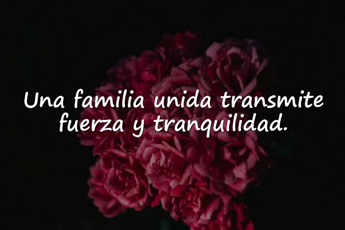 Imágenes frases para familia - 16