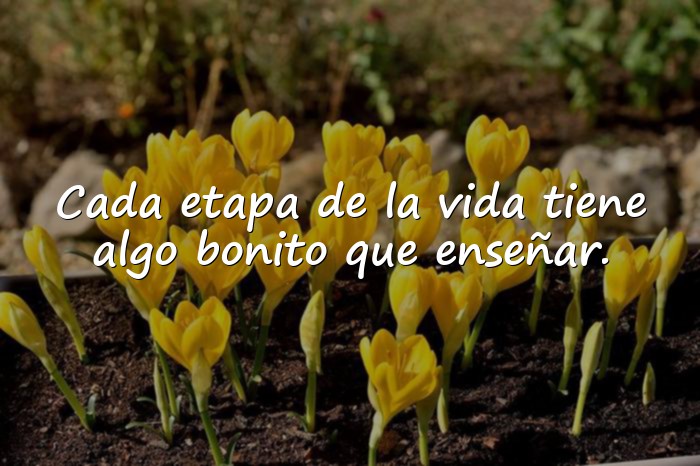 Imágenes frases para foto de facebook - 11