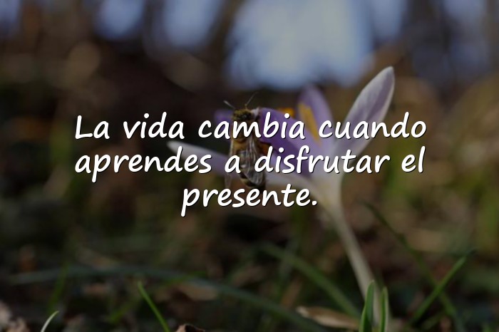 Imágenes frases para foto de facebook - 20