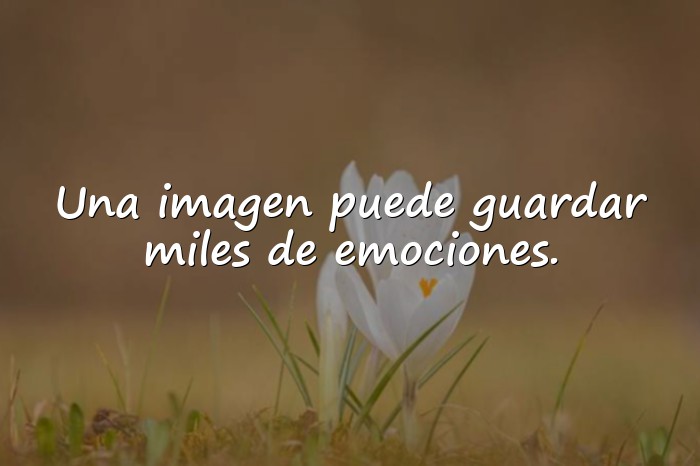 Imágenes frases para foto de facebook - 15