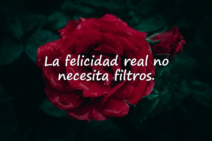 Imágenes frases para foto de instagram - 9
