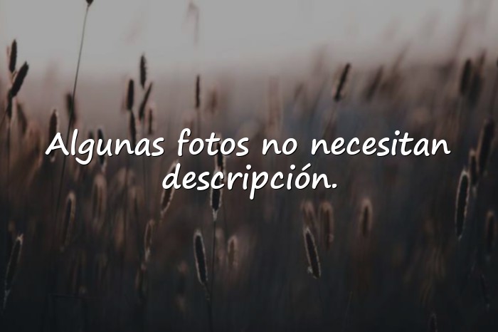 Imágenes frases para foto de instagram - 5