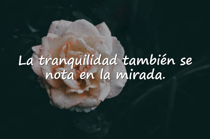 Imágenes frases para foto de perfil de facebook - 13