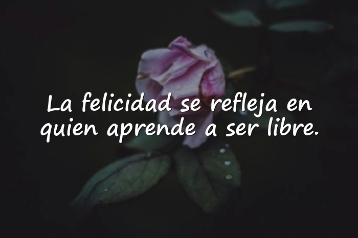 Imágenes frases para foto de perfil de facebook - 9