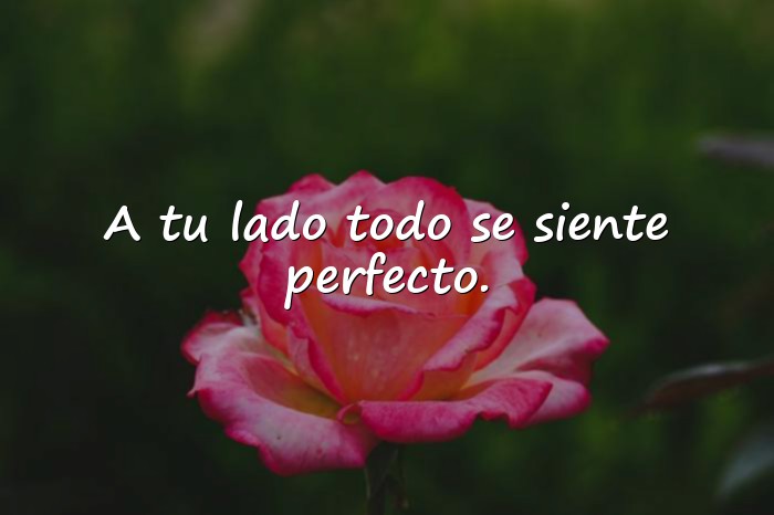 Imágenes frases para fotos con mi novio - 9