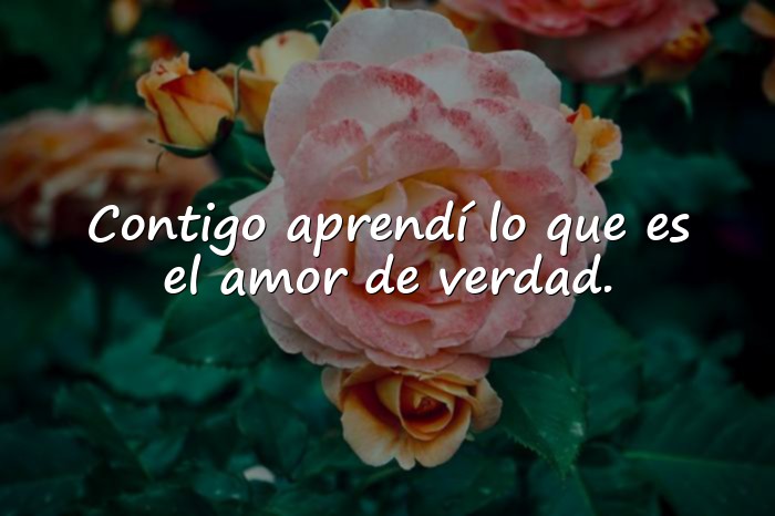 Imágenes frases para fotos con mi novio - 5