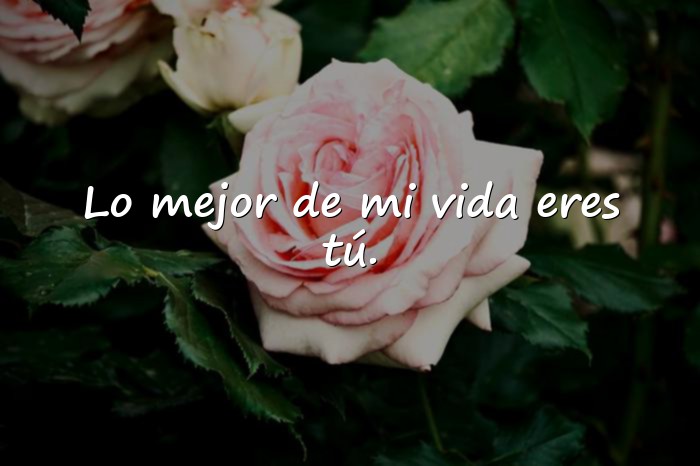 Imágenes frases para fotos con mi novio - 2
