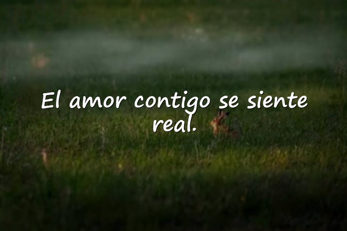 Imágenes frases para fotos con mi novio - 15