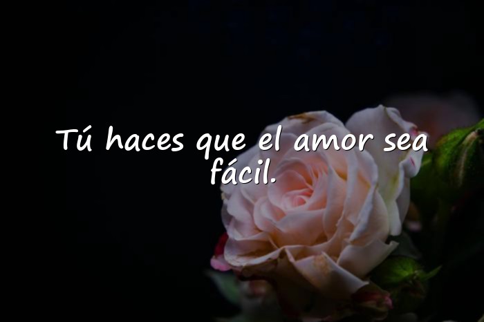 Imágenes frases para fotos con mi novio - 10
