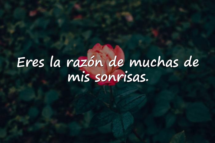 Imágenes frases para fotos con mi novio - 6