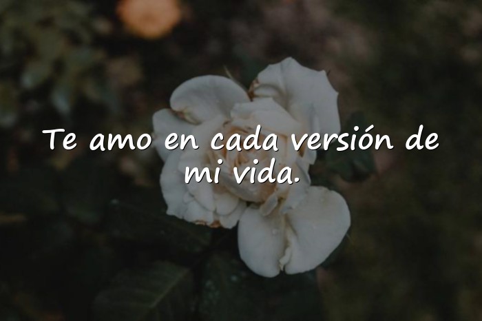 Imágenes frases para fotos con mi novio - 1