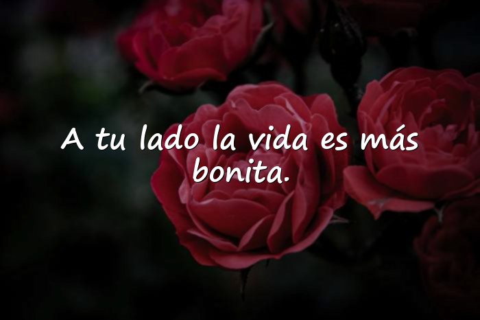 Imágenes frases para fotos de amor - 8