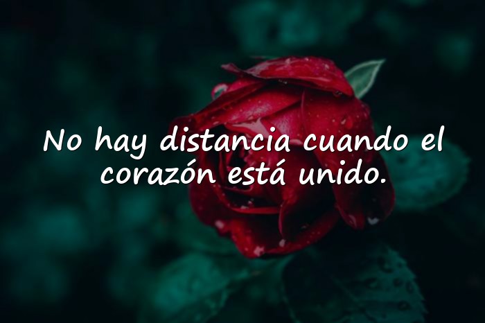 Imágenes frases para fotos de amor - 5
