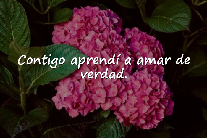Imágenes frases para fotos de amor - 3