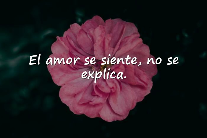 Imágenes frases para fotos de amor - 24