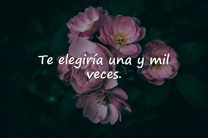 Imágenes frases para fotos de amor - 1